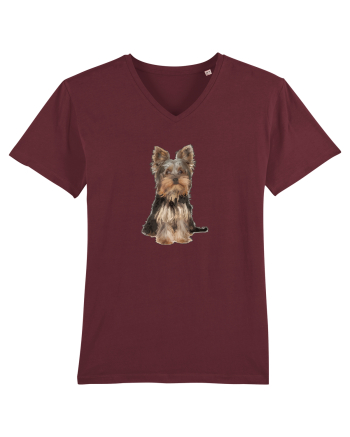 Yorkshire terrier Burgundy