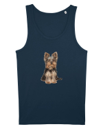 Yorkshire terrier Maiou Bărbat Runs