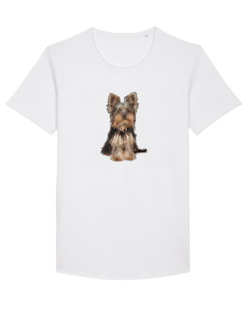 Yorkshire terrier White