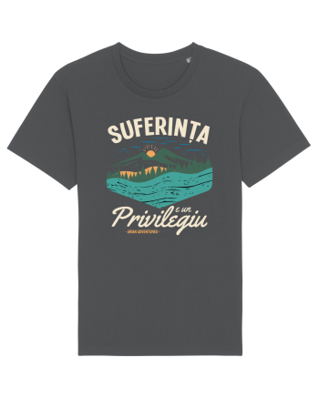 Suferinta e un privilegiu Anthracite