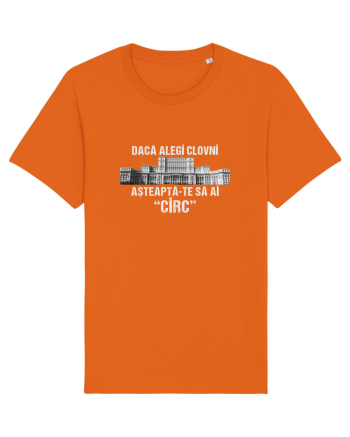 Daca alegi clovni asteapta-te sa ai CIRC Bright Orange