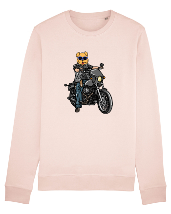 Amuzant Pentru Motociclisti Si Iubitori De Caini Candy Pink