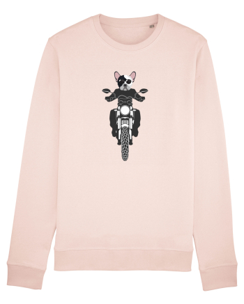 Amuzant Pentru Motociclisti Si Iubitori De Caini Candy Pink