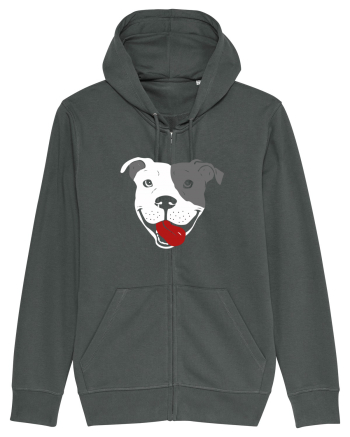 Catel Pitbull Anthracite