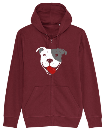 Catel Pitbull Burgundy