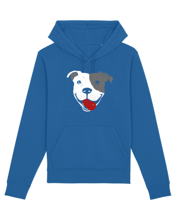 Catel Pitbull Royal Blue