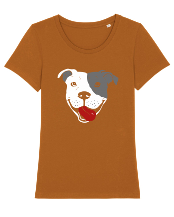 Catel Pitbull Roasted Orange