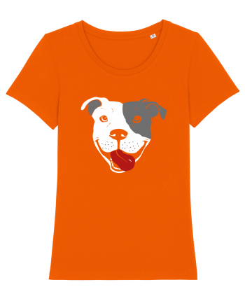 Catel Pitbull Bright Orange