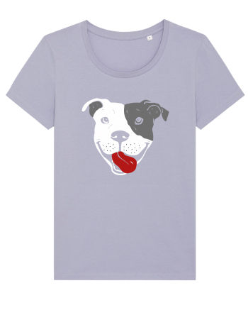 Catel Pitbull Lavender