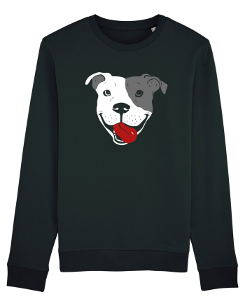 Catel Pitbull Black