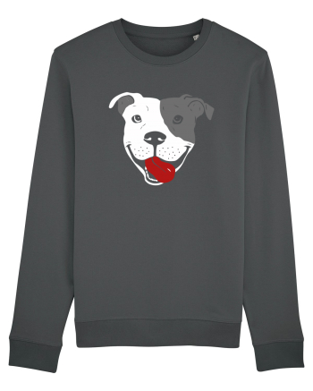 Catel Pitbull Anthracite