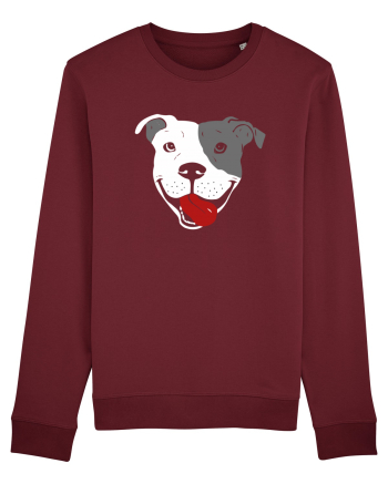 Catel Pitbull Burgundy