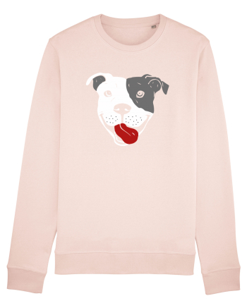 Catel Pitbull Candy Pink