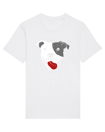 Catel Pitbull White