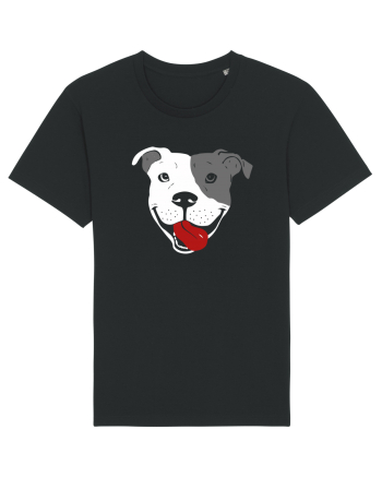 Catel Pitbull Black