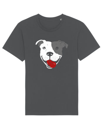 Catel Pitbull Anthracite