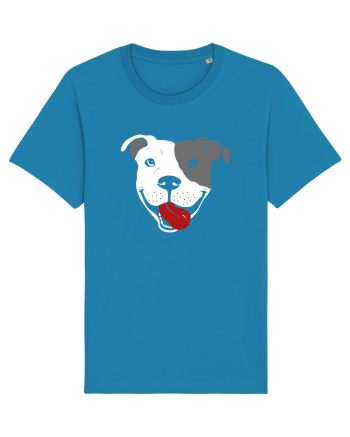 Catel Pitbull Azur