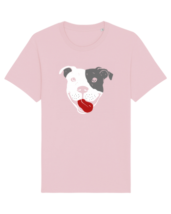 Catel Pitbull Cotton Pink