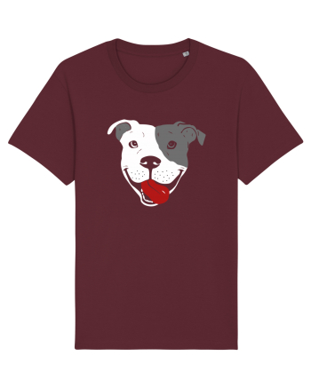 Catel Pitbull Burgundy