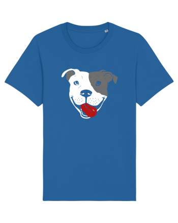 Catel Pitbull Royal Blue