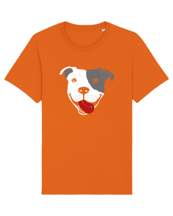 Catel Pitbull Bright Orange