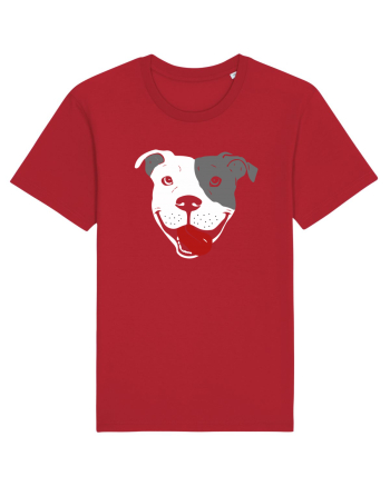 Catel Pitbull Red