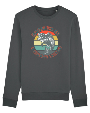 Pescari Anthracite