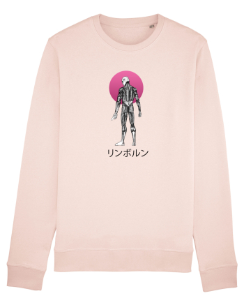 Anatomy of a samurai Candy Pink