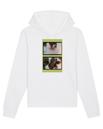 Cats White