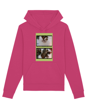 Cats Raspberry