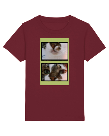 Cats Burgundy