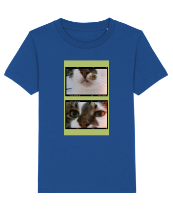 Cats Majorelle Blue
