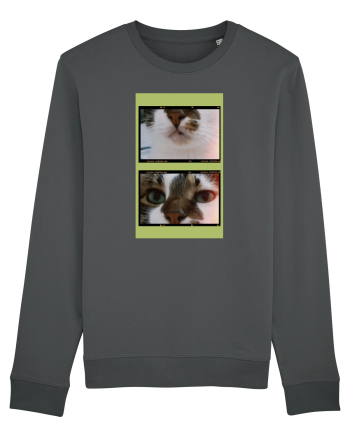 Cats Anthracite