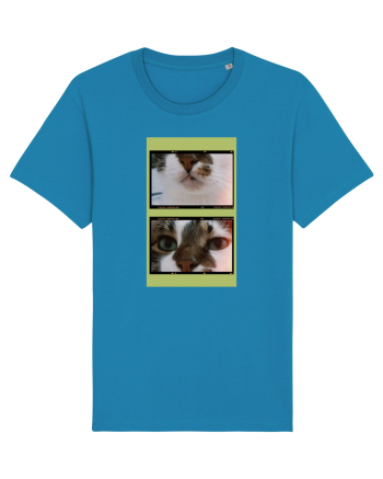 Cats Azur