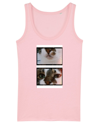 Cats Cotton Pink