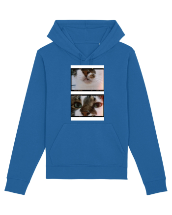 Cats Royal Blue