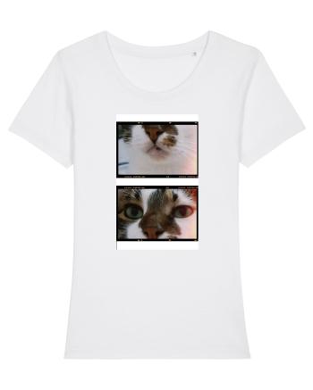Cats White