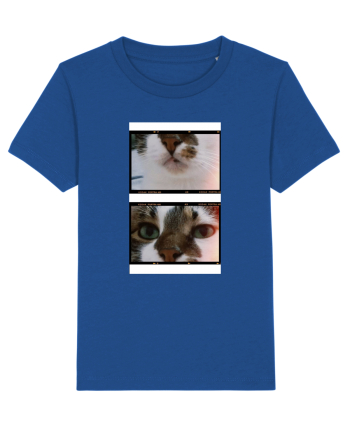 Cats Majorelle Blue
