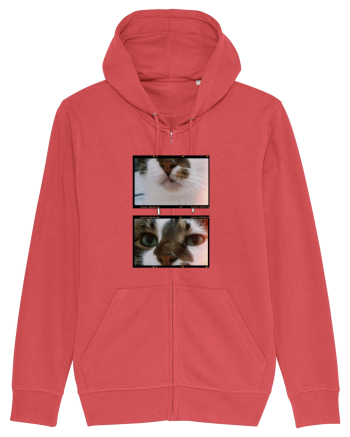 Cats Carmine Red