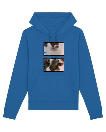 Cats Royal Blue