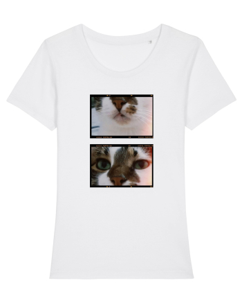Cats White
