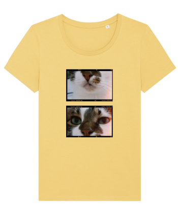 Cats Jojoba