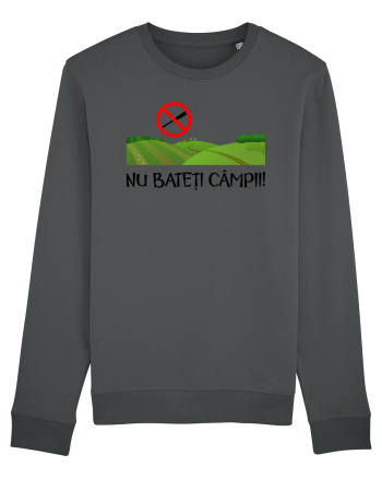 Nu bateti campii Anthracite