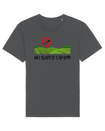 Nu bateti campii Anthracite