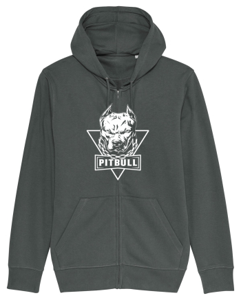 pitbull Anthracite