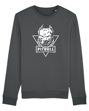 pitbull Anthracite