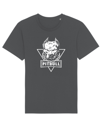 pitbull Anthracite