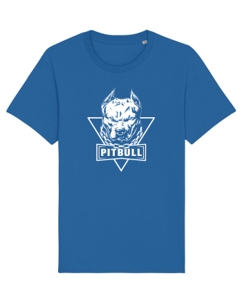 pitbull Royal Blue