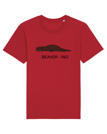 Beaver-ing Red