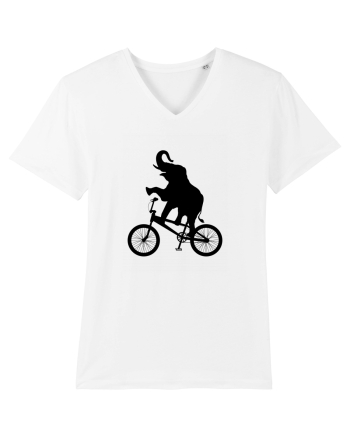 Circus White